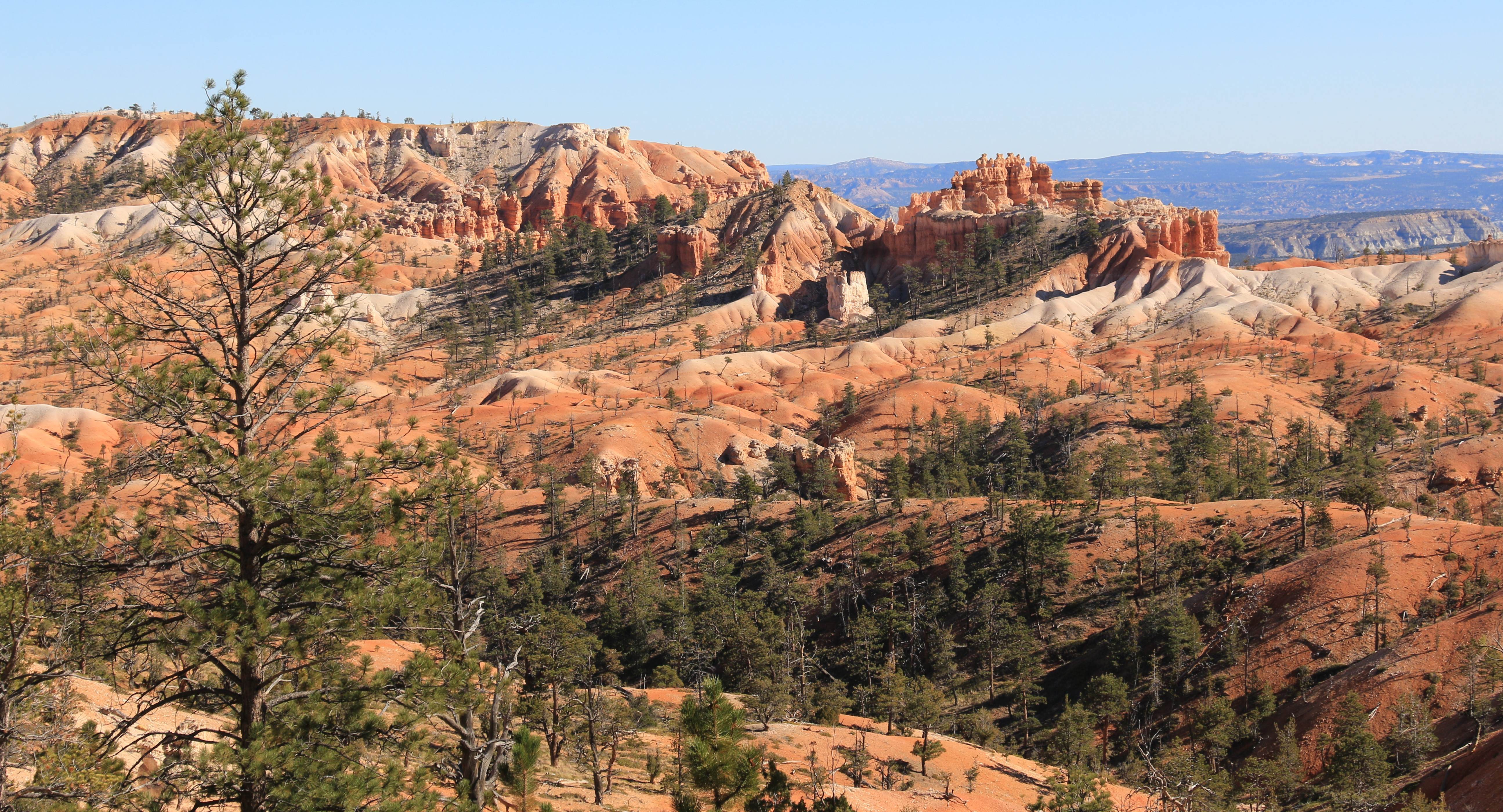 Bryce Canyon NP